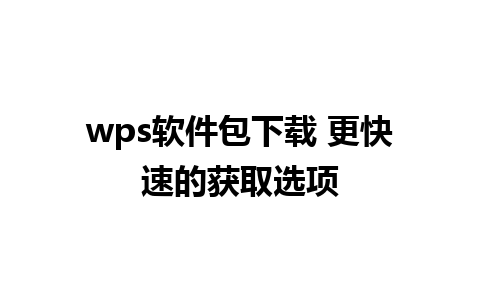 wps软件包下载 更快速的获取选项