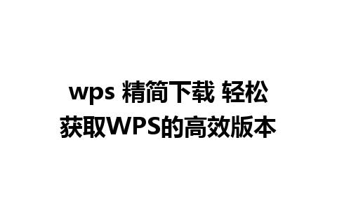 wps 精简下载 轻松获取WPS的高效版本