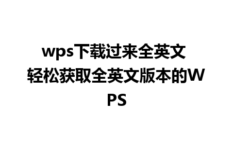 wps下载过来全英文 轻松获取全英文版本的WPS