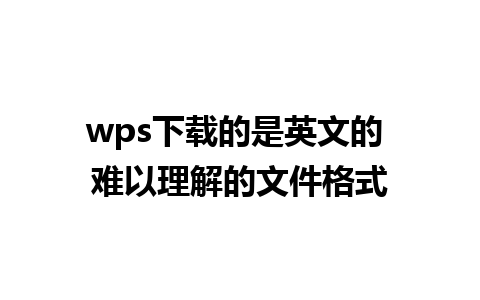 wps下载的是英文的 难以理解的文件格式