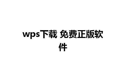 wps下载 免费正版软件