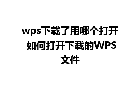 wps下载了用哪个打开 如何打开下载的WPS文件