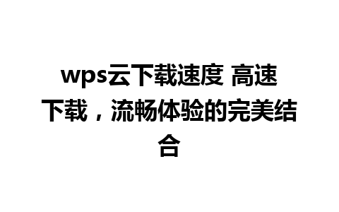 wps云下载速度 高速下载，流畅体验的完美结合