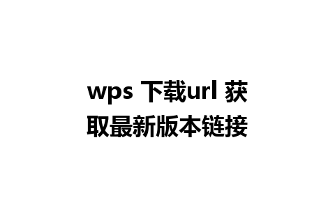 wps 下载url 获取最新版本链接