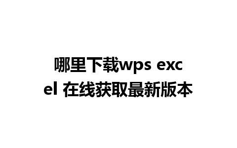 哪里下载wps excel 在线获取最新版本