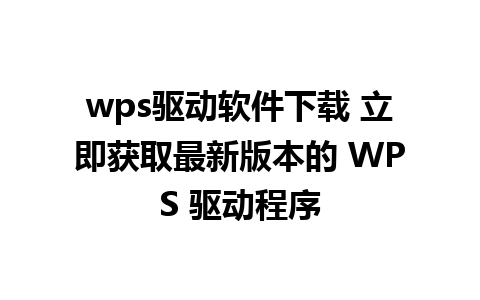 wps驱动软件下载 立即获取最新版本的 WPS 驱动程序