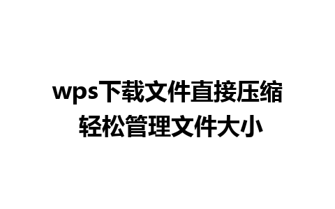 wps下载文件直接压缩 轻松管理文件大小