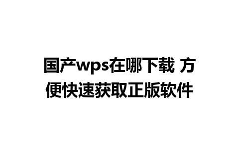 国产wps在哪下载 方便快速获取正版软件