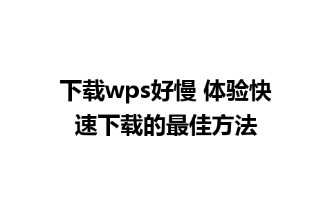 下载wps好慢 体验快速下载的最佳方法