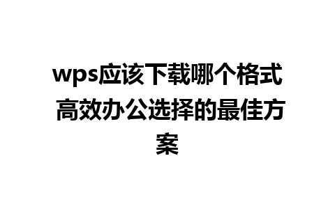 wps应该下载哪个格式 高效办公选择的最佳方案