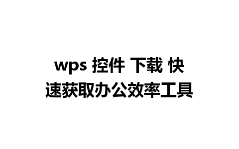 wps 控件 下载 快速获取办公效率工具