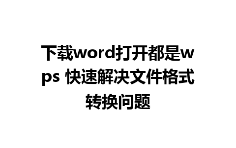 下载word打开都是wps 快速解决文件格式转换问题