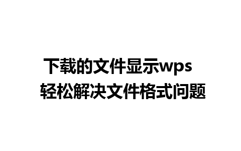 下载的文件显示wps  轻松解决文件格式问题