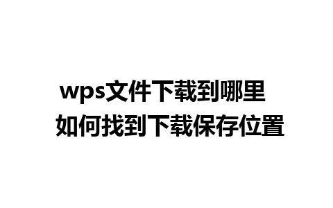 wps文件下载到哪里  如何找到下载保存位置