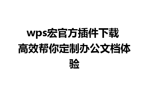 wps宏官方插件下载 高效帮你定制办公文档体验