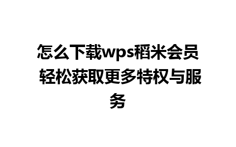 怎么下载wps稻米会员 轻松获取更多特权与服务