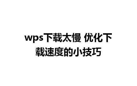 wps下载太慢 优化下载速度的小技巧