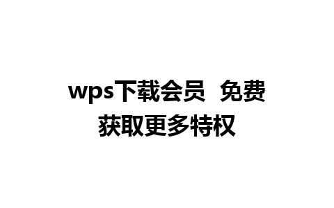 wps下载会员  免费获取更多特权