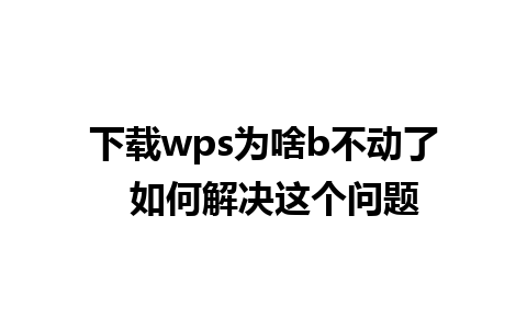 下载wps为啥b不动了  如何解决这个问题