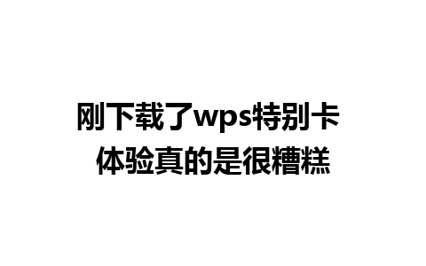 刚下载了wps特别卡 体验真的是很糟糕