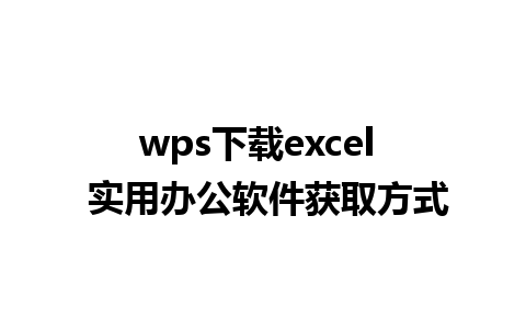 wps下载excel  实用办公软件获取方式