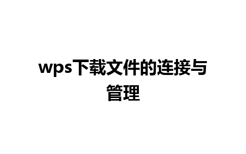 wps下载文件的连接与管理