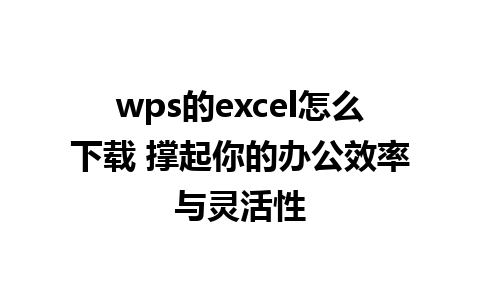 wps的excel怎么下载 撑起你的办公效率与灵活性