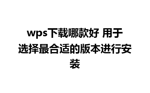 wps下载哪款好 用于选择最合适的版本进行安装