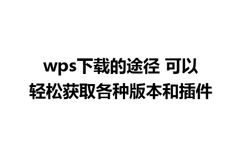 wps下载的途径 可以轻松获取各种版本和插件