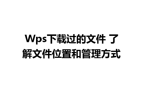 Wps下载过的文件 了解文件位置和管理方式