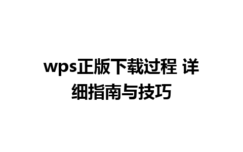 wps正版下载过程 详细指南与技巧