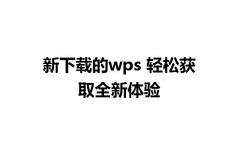 新下载的wps 轻松获取全新体验