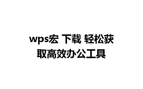 wps宏 下载 轻松获取高效办公工具