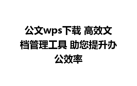 公文wps下载 高效文档管理工具 助您提升办公效率