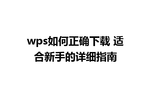 wps如何正确下载 适合新手的详细指南