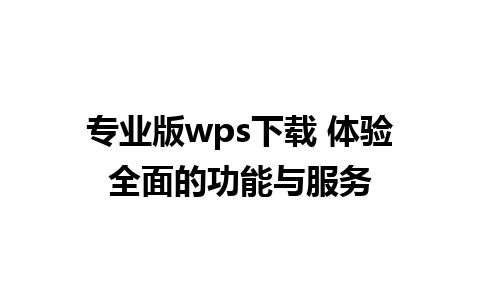 专业版wps下载 体验全面的功能与服务