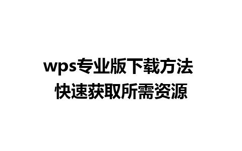 wps专业版下载方法 快速获取所需资源