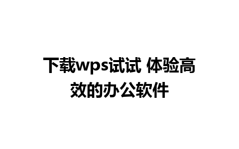 下载wps试试 体验高效的办公软件