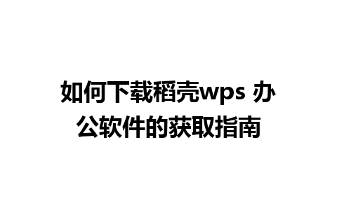 如何下载稻壳wps 办公软件的获取指南