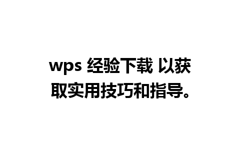 wps 经验下载 以获取实用技巧和指导。