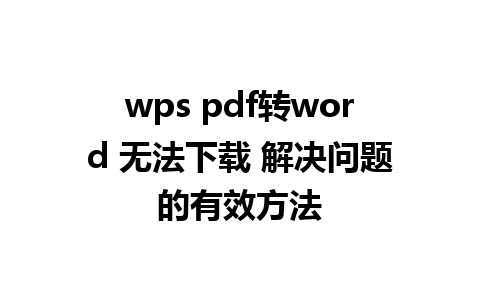 wps pdf转word 无法下载 解决问题的有效方法