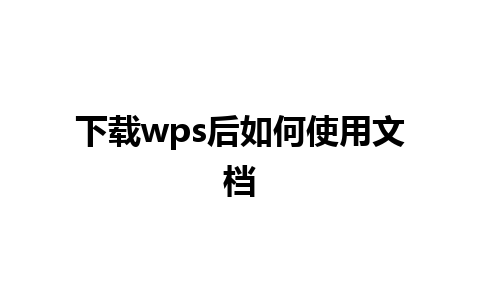 下载wps后如何使用文档