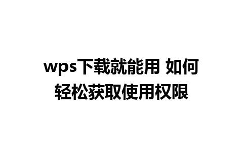 wps下载就能用 如何轻松获取使用权限