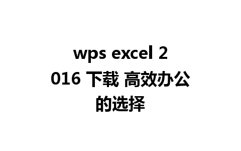 wps excel 2016 下载 高效办公的选择