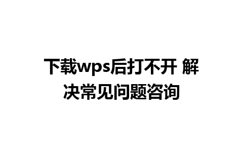 下载wps后打不开 解决常见问题咨询