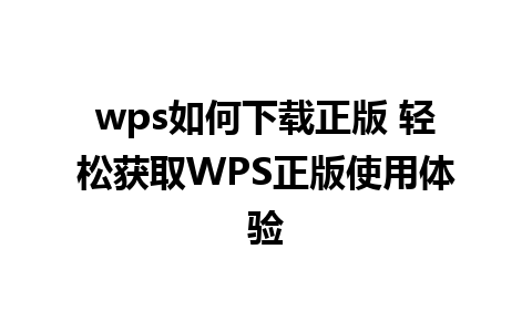 wps如何下载正版 轻松获取WPS正版使用体验