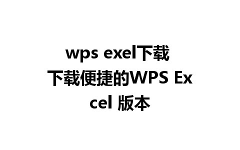 wps exel下载 下载便捷的WPS Excel 版本