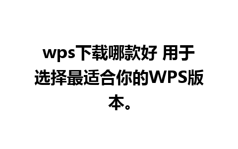 wps下载哪款好 用于选择最适合你的WPS版本。