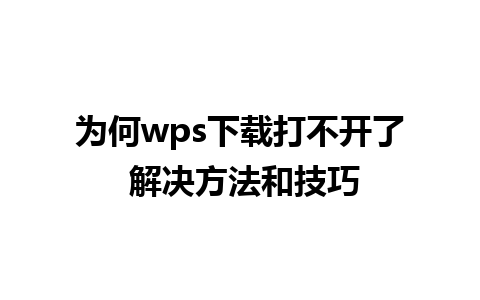 为何wps下载打不开了 解决方法和技巧