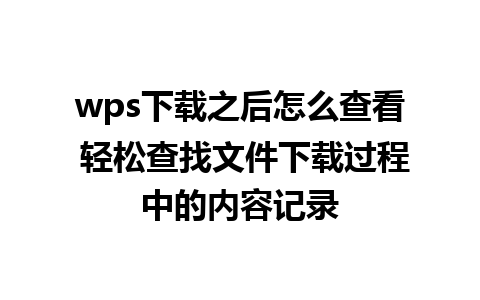 wps下载之后怎么查看 轻松查找文件下载过程中的内容记录